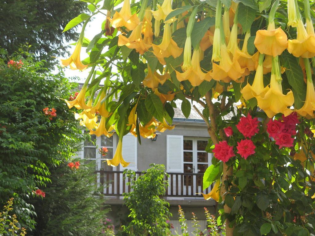 Le Chai De La Rose Spa Et Seances Bien Etre Doué-la-Fontaine Exterior foto